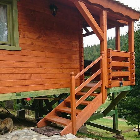 Cabana Casa Craita Zărneşti 外观 照片