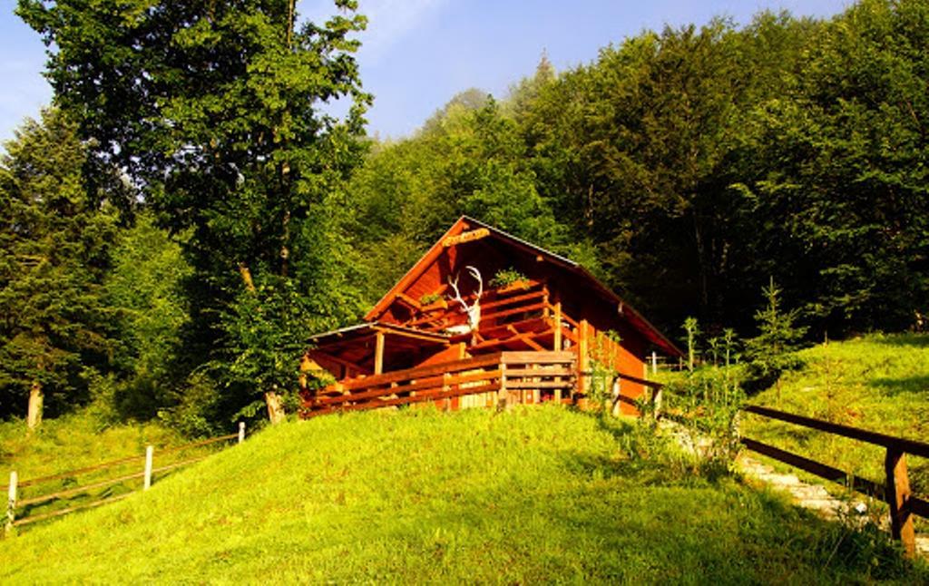 Cabana Casa Craita Zărneşti 客房 照片