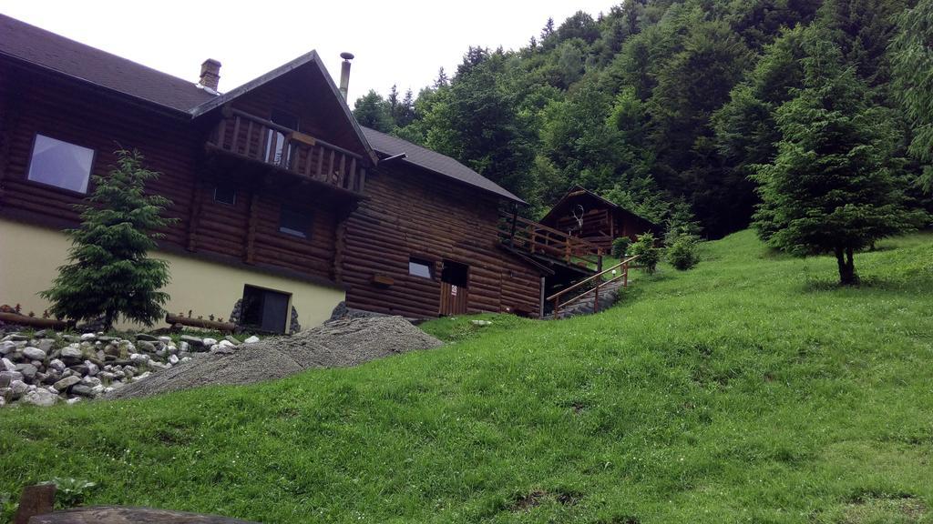 Cabana Casa Craita Zărneşti 外观 照片