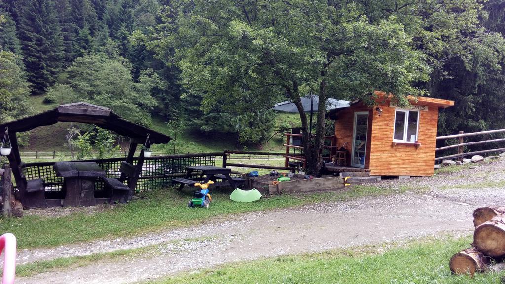 Cabana Casa Craita Zărneşti 外观 照片