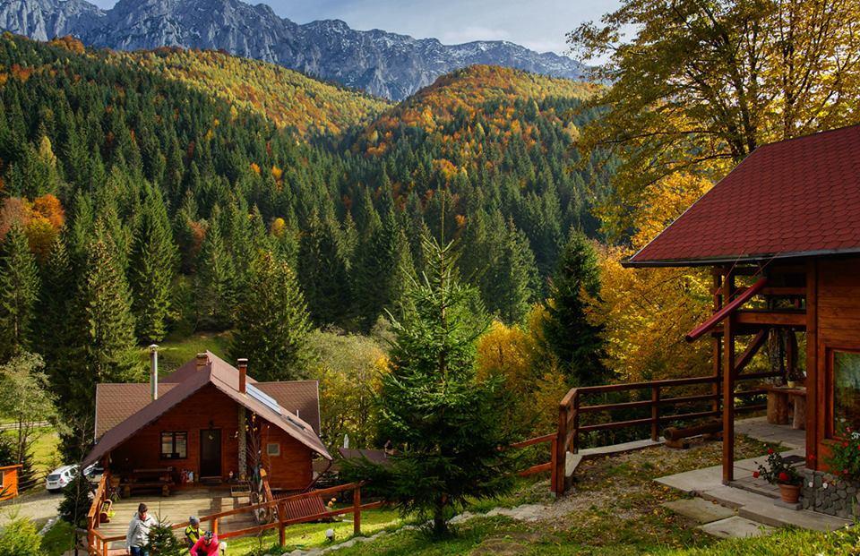 Cabana Casa Craita Zărneşti 外观 照片