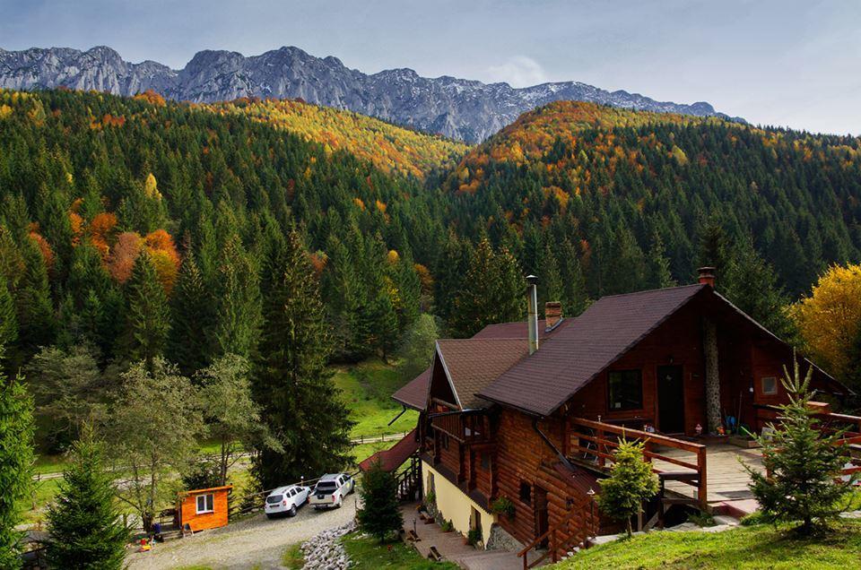 Cabana Casa Craita Zărneşti 外观 照片