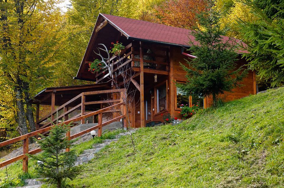 Cabana Casa Craita Zărneşti 外观 照片