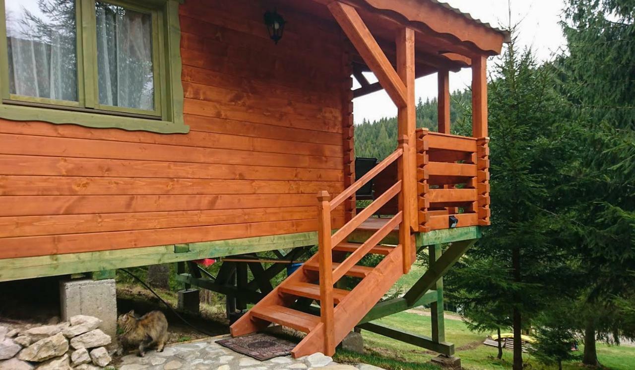 Cabana Casa Craita Zărneşti 外观 照片