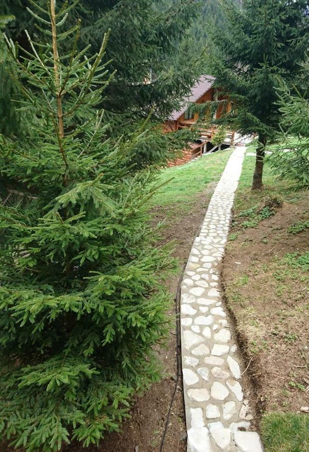 Cabana Casa Craita Zărneşti 外观 照片